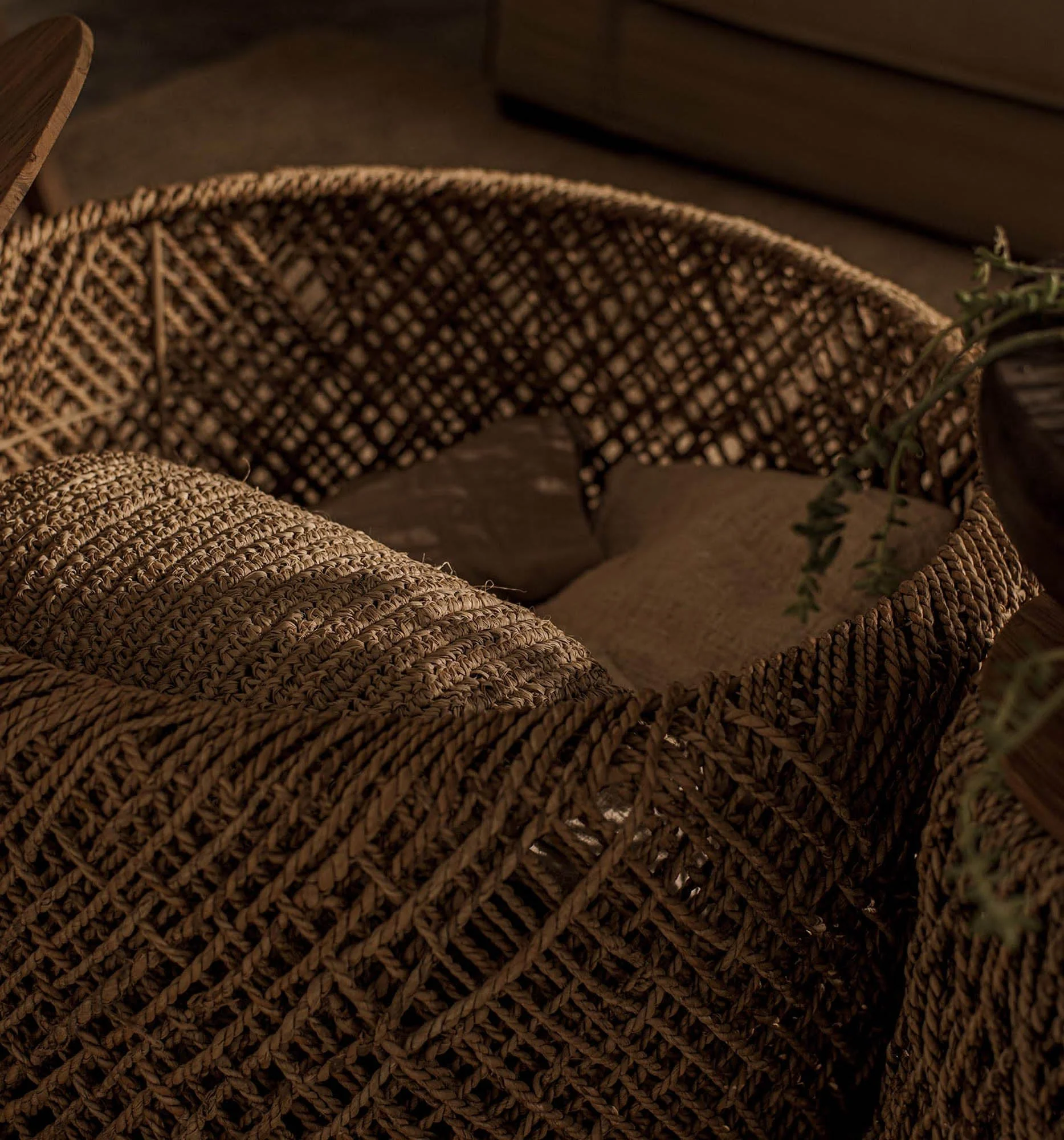 D-Bodhi Knut Coffee Table - Image 7