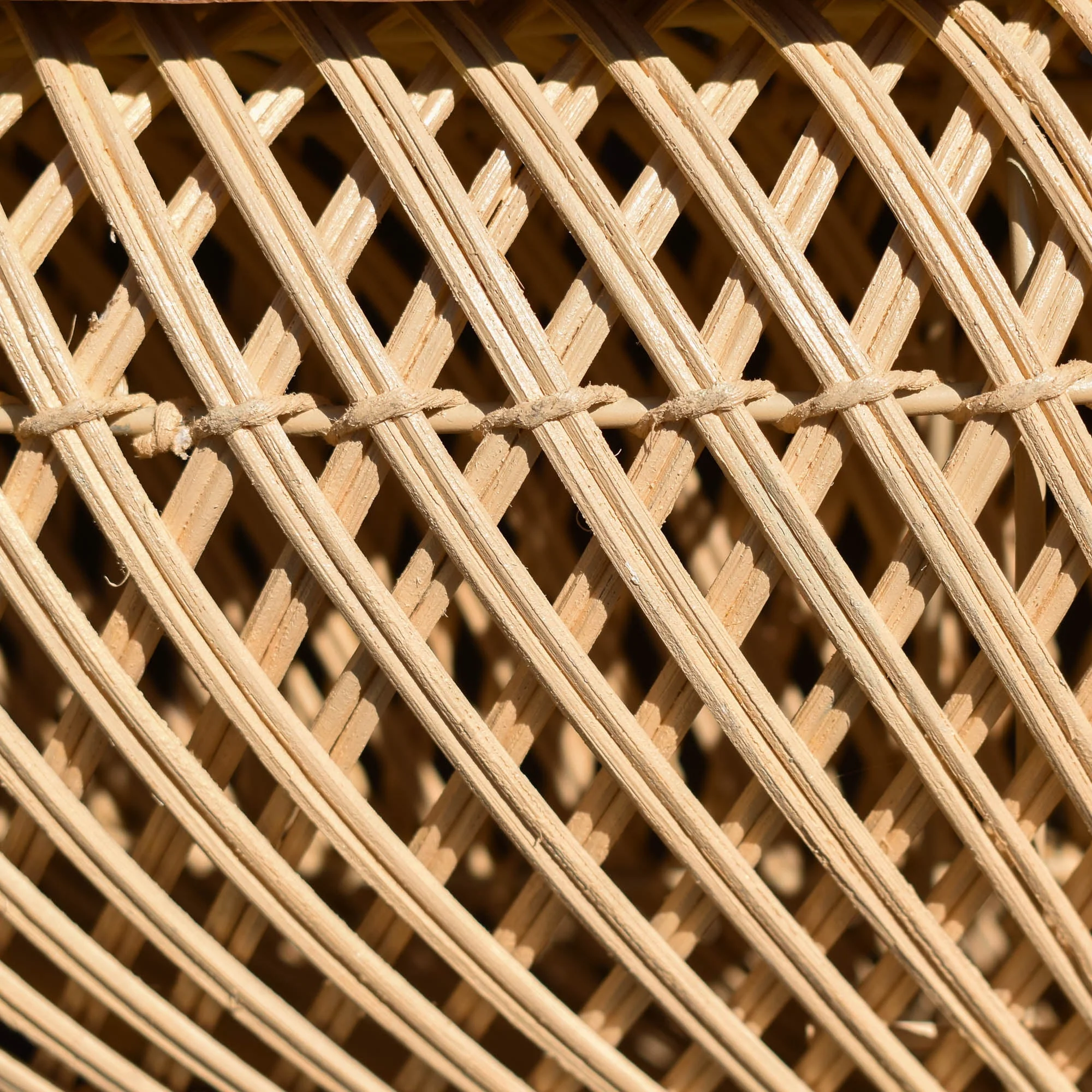 D-Bodhi Wave Coffee Table - Natural - Image 8