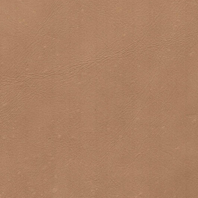 Milo Dining Chair - Nude (TH) - Image 4