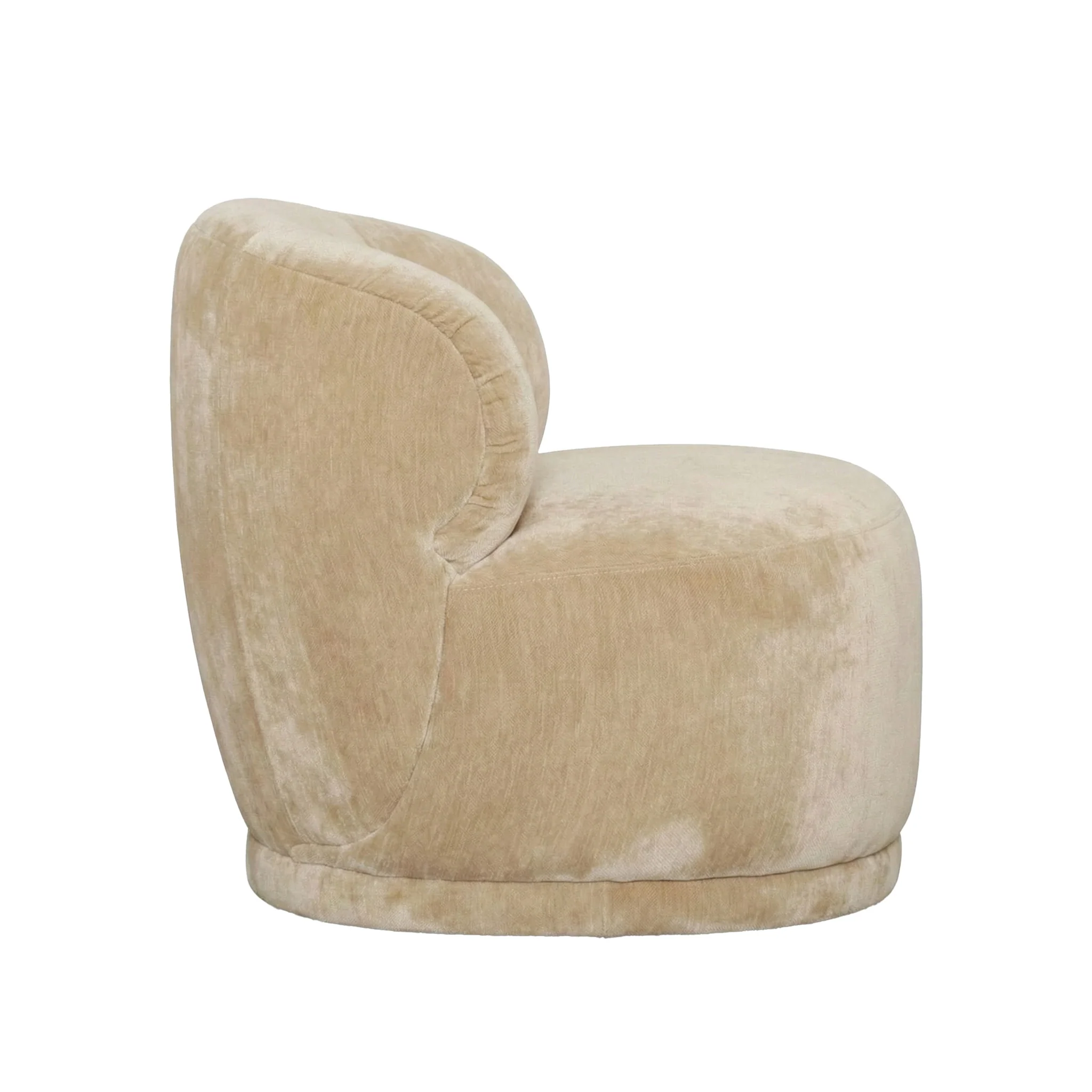 Rollo Club Chair - Distressed Velvet Natural - Image 5