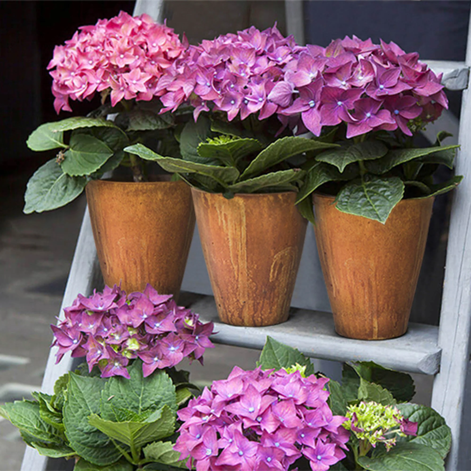 Rustic Medium Vase - Corten - Image 4